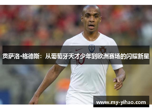 贡萨洛·格德斯：从葡萄牙天才少年到欧洲赛场的闪耀新星