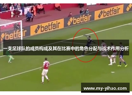 一支足球队的成员构成及其在比赛中的角色分配与战术作用分析