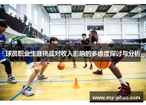 球员职业生涯挑战对收入影响的多维度探讨与分析