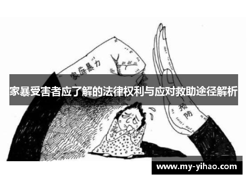 家暴受害者应了解的法律权利与应对救助途径解析