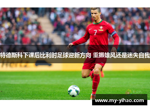特德斯科下课后比利时足球迎新方向 重振雄风还是迷失自我