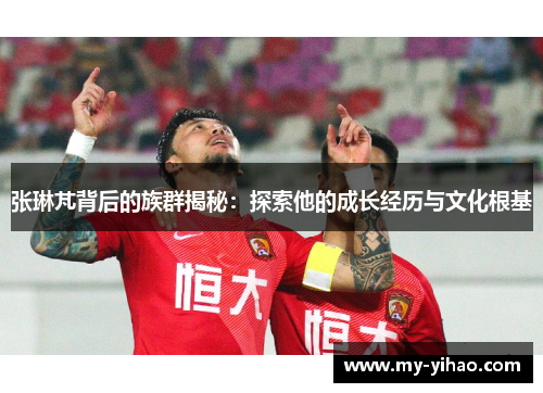张琳芃背后的族群揭秘：探索他的成长经历与文化根基