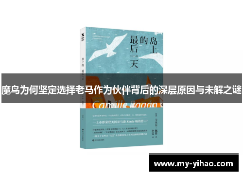 魔鸟为何坚定选择老马作为伙伴背后的深层原因与未解之谜